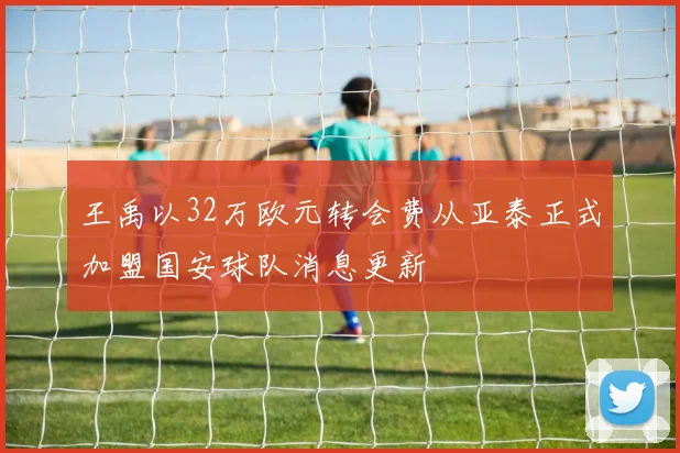 王禹以32万欧元转会费从亚泰正式加盟国安球队消息更新