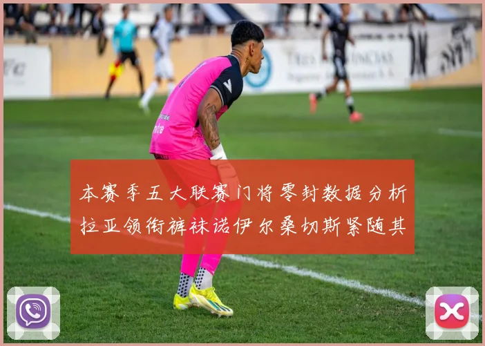 本赛季五大联赛门将零封数据分析拉亚领衔裤袜诺伊尔桑切斯紧随其后
