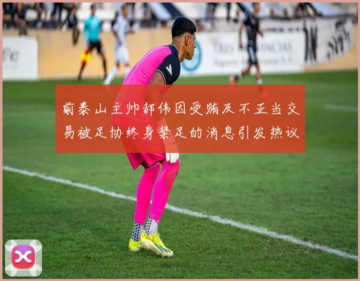 前泰山主帅郝伟因受贿及不正当交易被足协终身禁足的消息引发热议