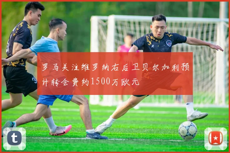 罗马关注维罗纳右后卫贝尔加利预计转会费约1500万欧元